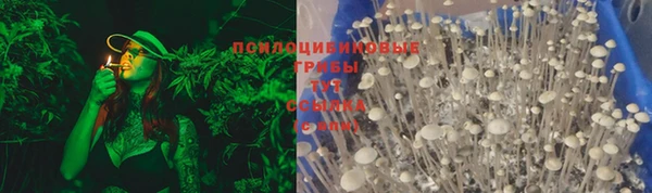 трава Гатчина