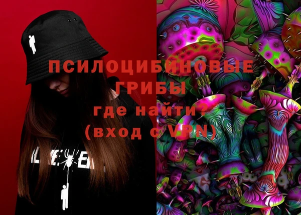 трава Гатчина