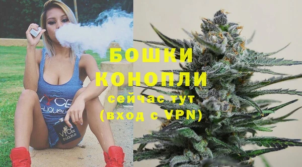 трава Гатчина