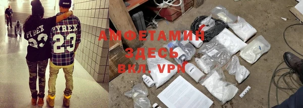 трава Гатчина