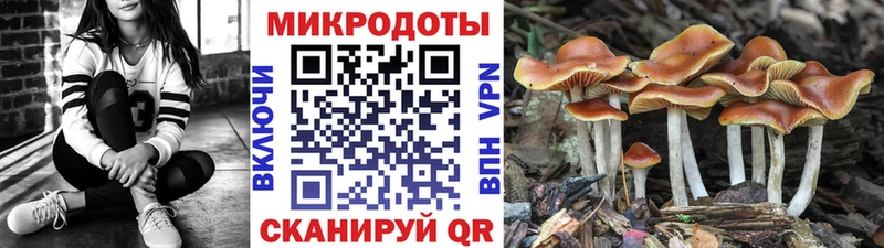 Галлюциногенные грибы MAGIC MUSHROOMS  Донской 