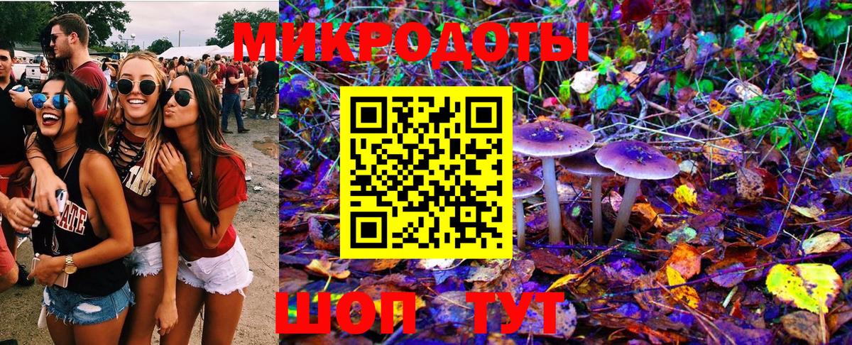 Галлюциногенные грибы Magic Shrooms  что такое наркотик  Донской  Вход с VPN 